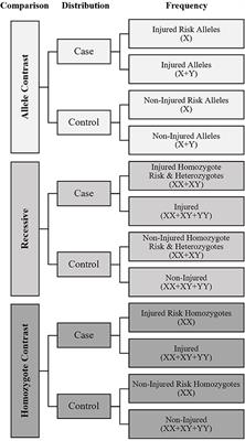 Systematic Review and Meta-Analysis of Candidate Gene Association Studies With Fracture Risk in Physically Active Participants